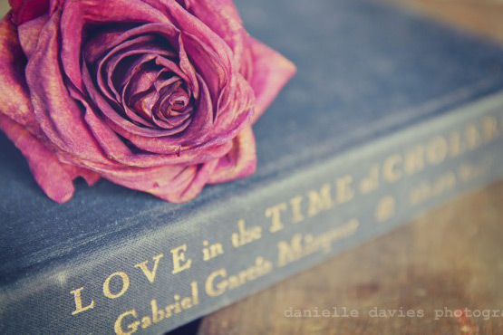 Love in the time of cholera Blog#6